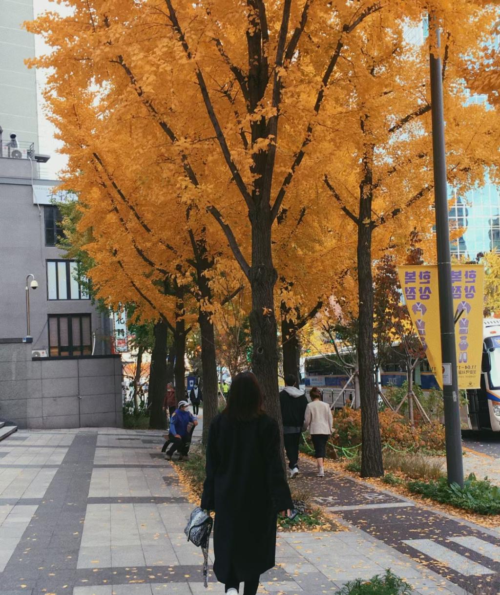 楚贺楠同学的韩国留学日记